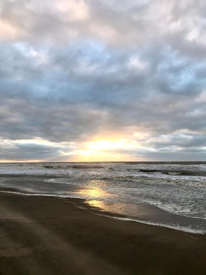 Hippocampus Aan Zee Hotel Katwijk aan Zee ภายนอก รูปภาพ